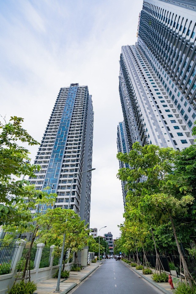 Diamond Goldmark City 26