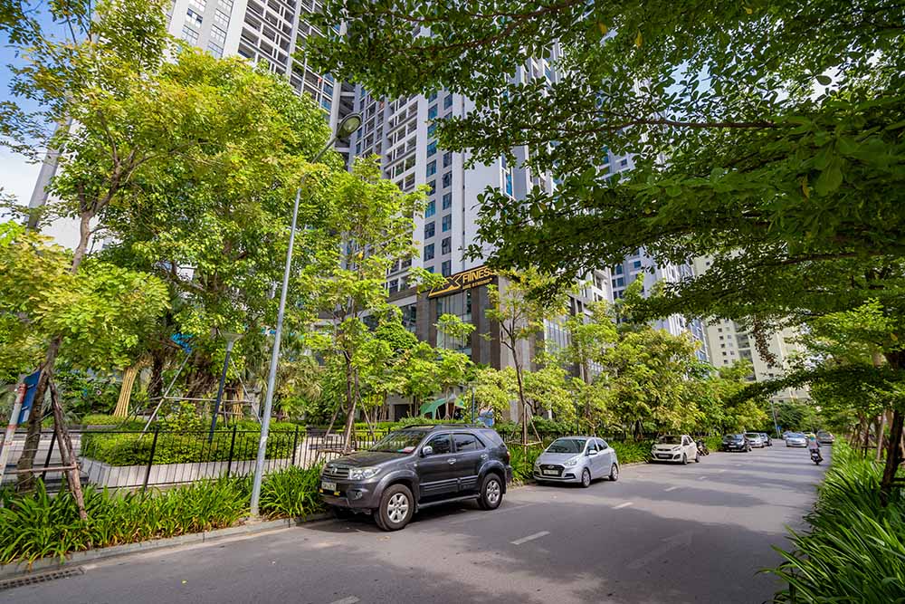 Diamond Goldmark City 14