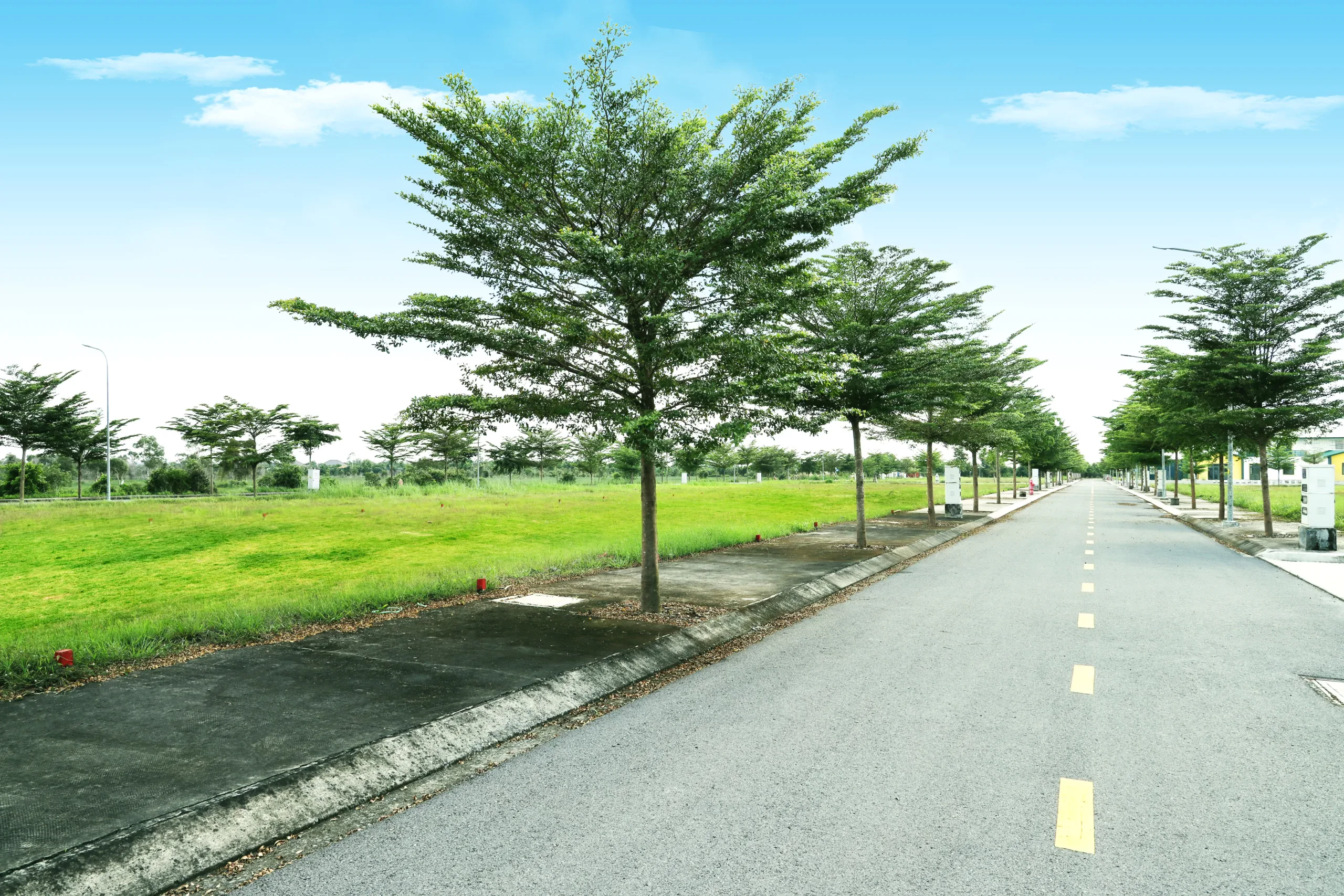 Đức Hoà Central 20