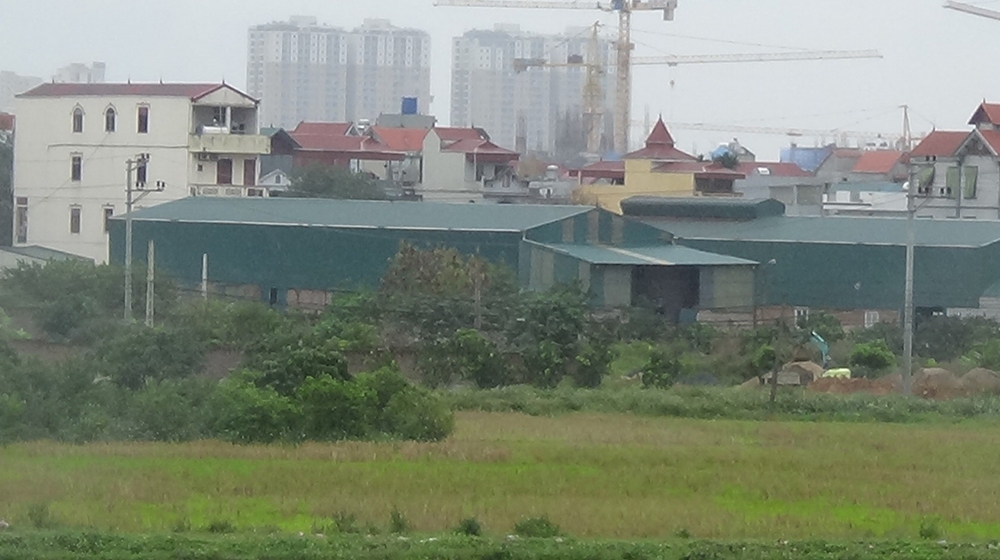 Hàng loạt đất nông nghiệp, đất công tại Hà Nội bị kiểm tra việc quản lý, sử dụng đất