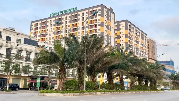 Hải Phòng: Mở bán 6 dự án nhà ở xã hội giá từ 14 - 20 triệu đồng/m2