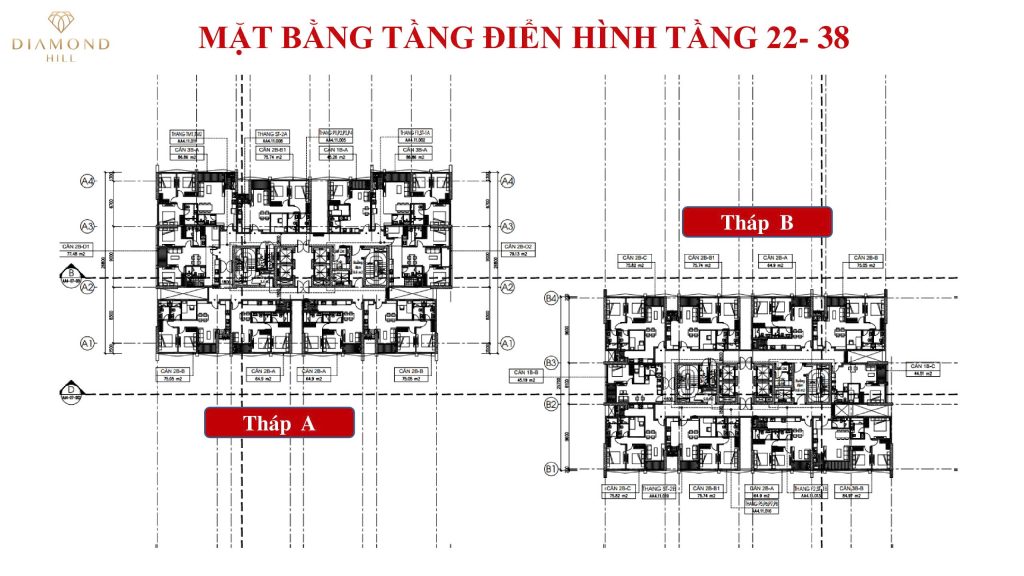 BV Diamond Hill Thái Nguyên 19