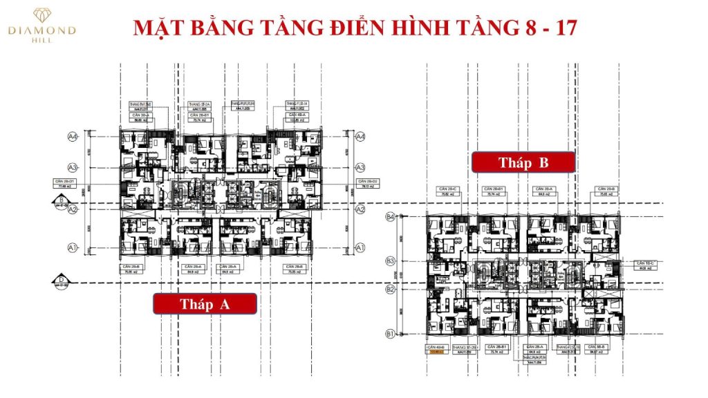 BV Diamond Hill Thái Nguyên 16