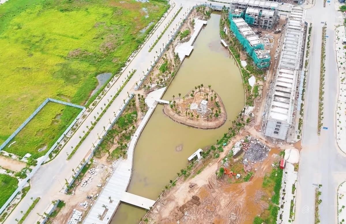 Bạch Đằng 1288
