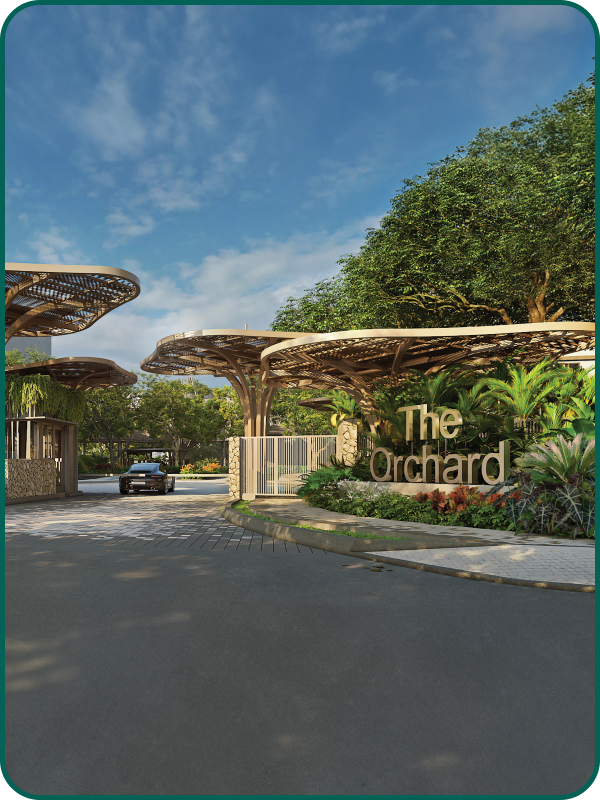 Orchard Grand 20