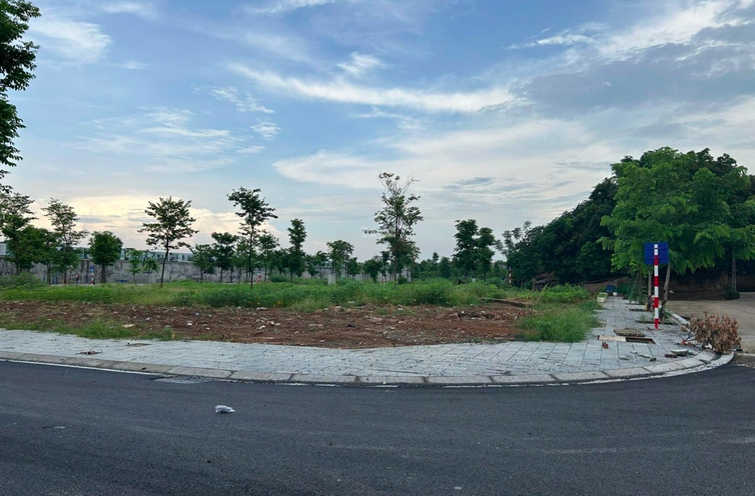 Khu nhà ở đô thị Nam Việt 8