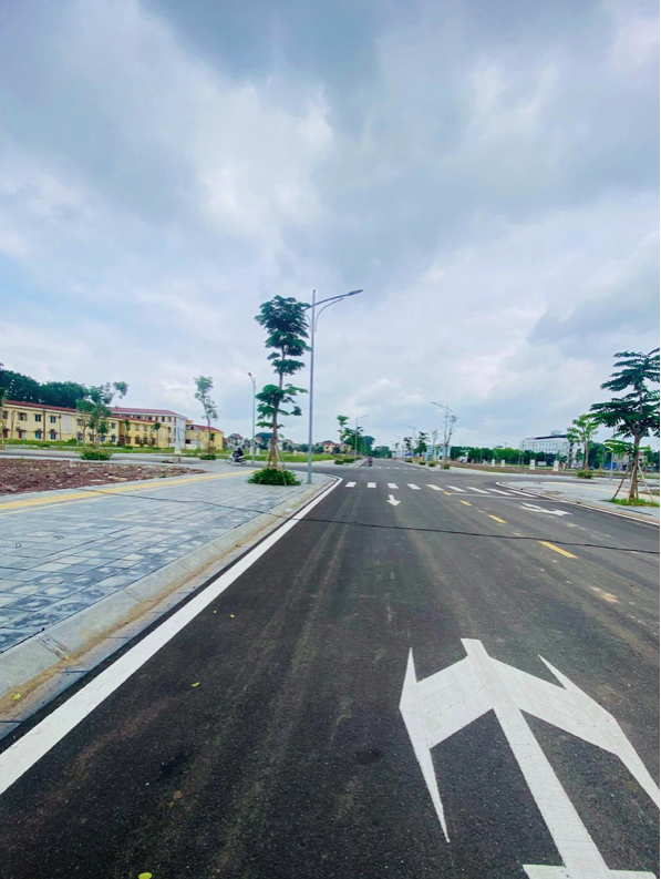 Tân Mỹ Avenue 