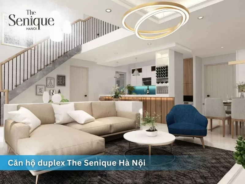 The Senique Hanoi 15