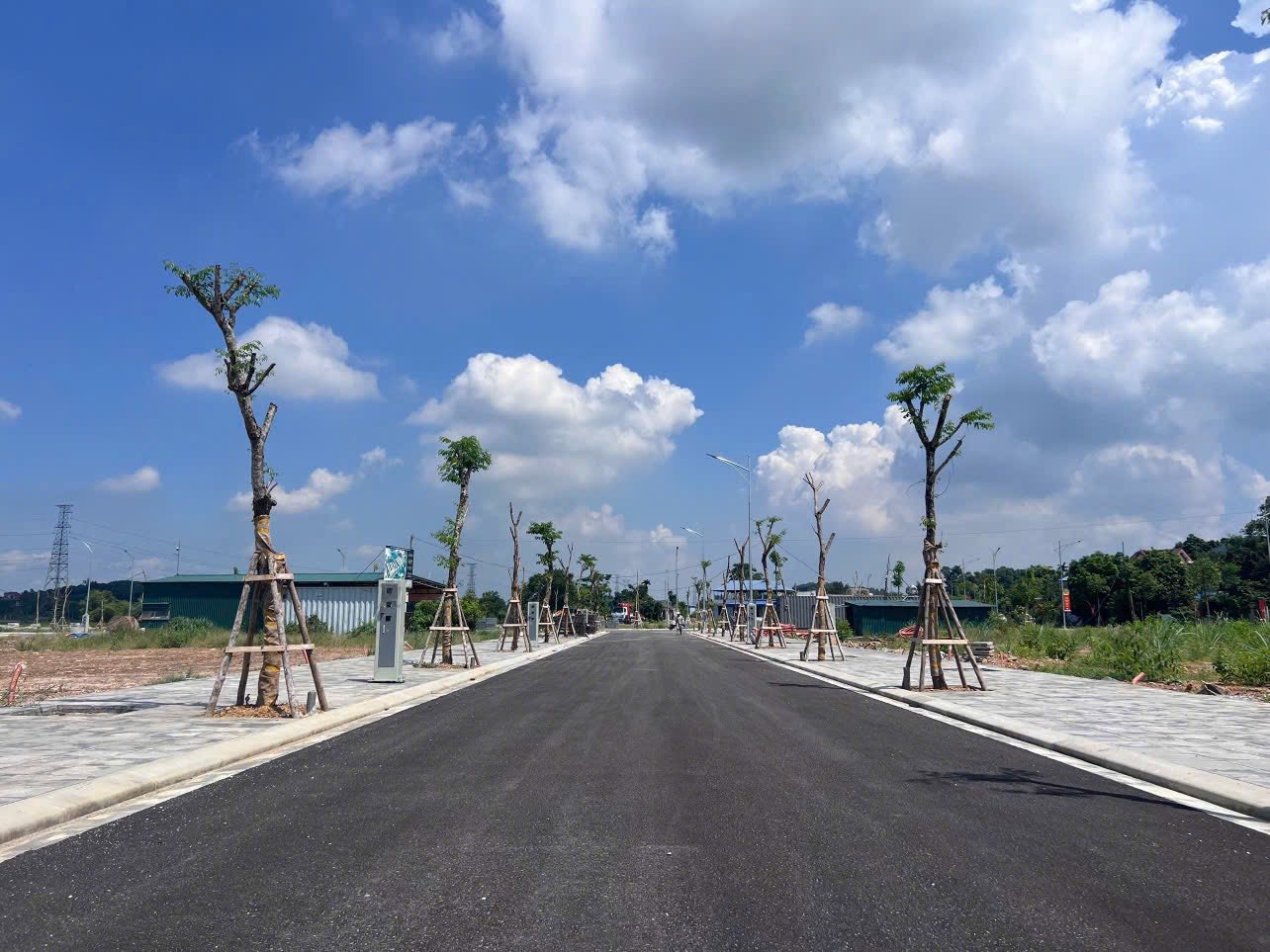 Bách Quang Central 8