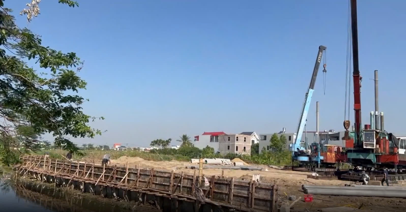 Sao Đỏ Sunshine