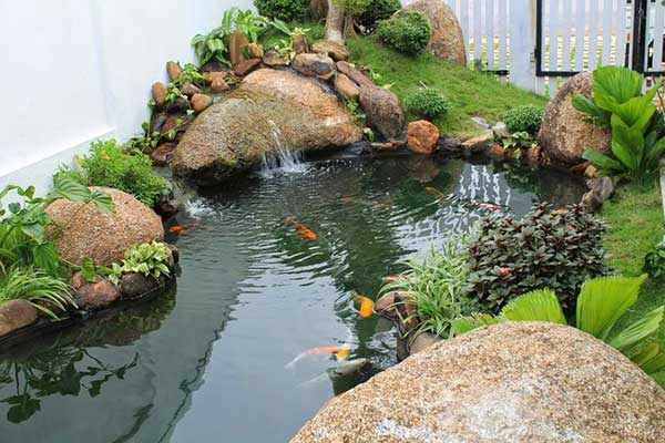 Tiểu cảnh sân vườn kết hợp hồ nuôi cá