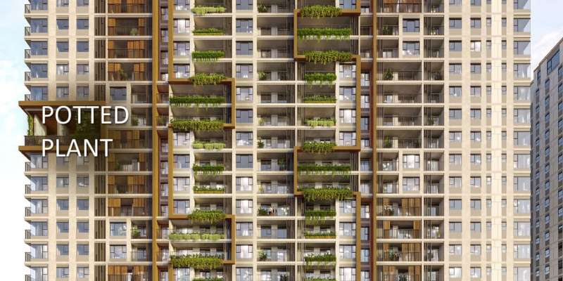 The Ambience Hải Phòng 24