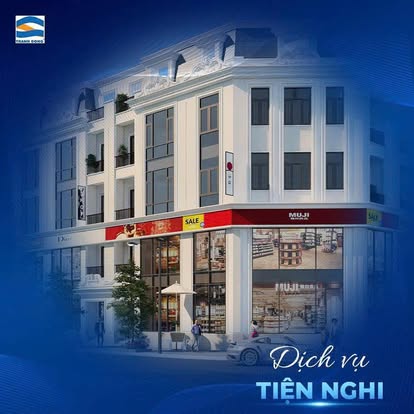 Thành Đông Metropolis 15