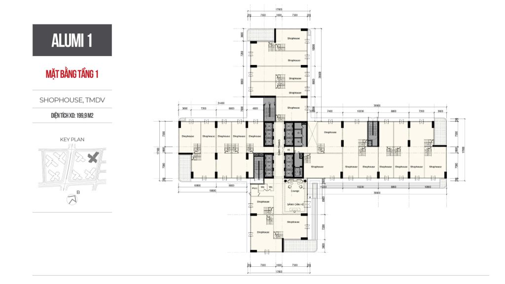 Alumi - Alluvia City 59