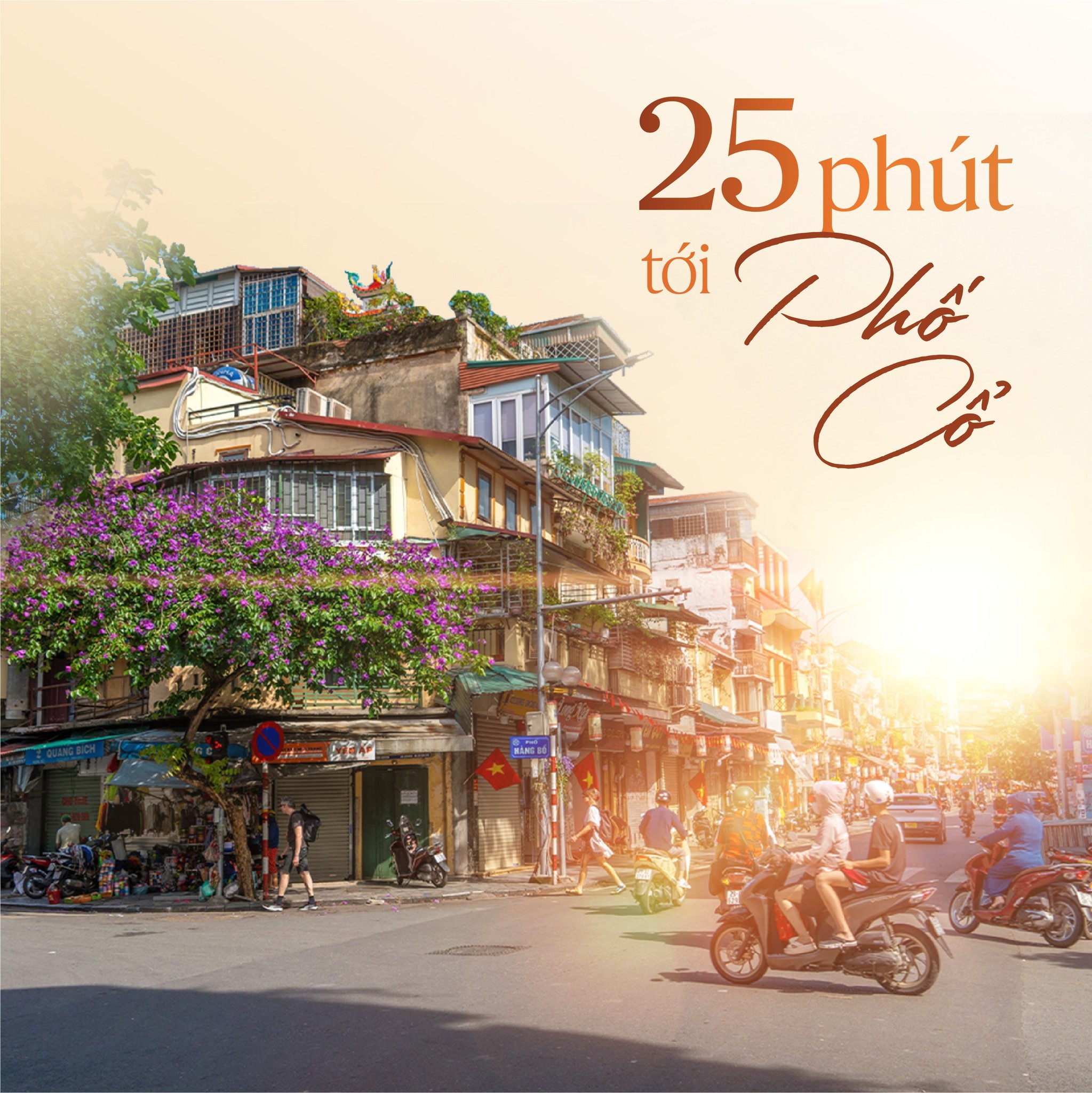 Alumi - Alluvia City 25