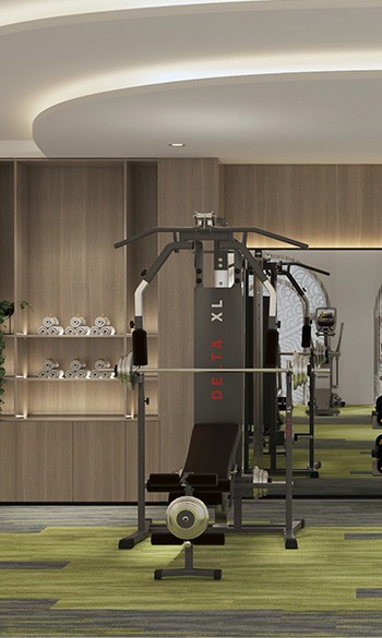 Hồng Hạc City 10