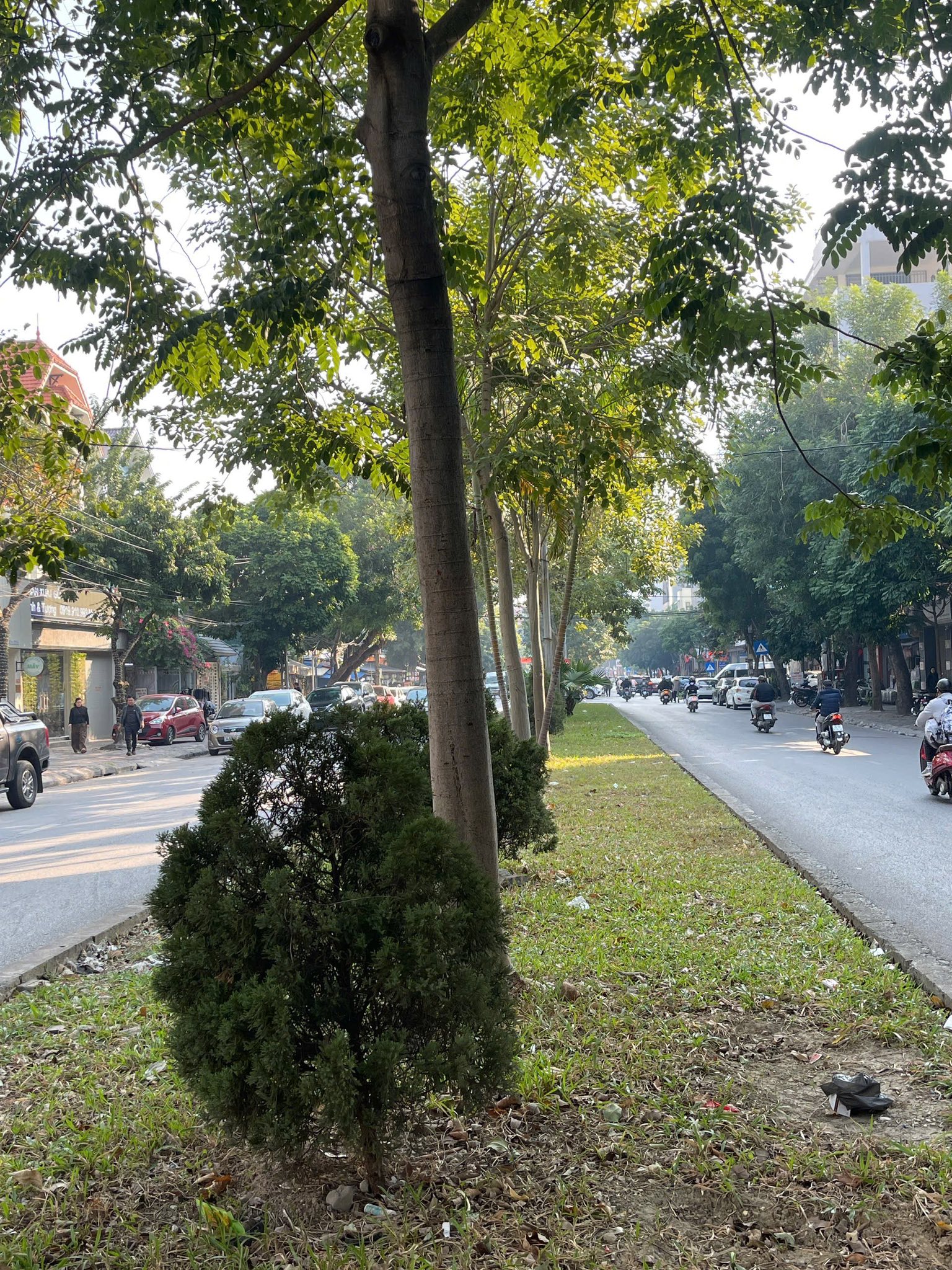 Bán đất mặt đường đôi Nguyễn Văn Linh, ph Tân Bình, TP HD, 180m2, mt 9m, KD buôn bán 2