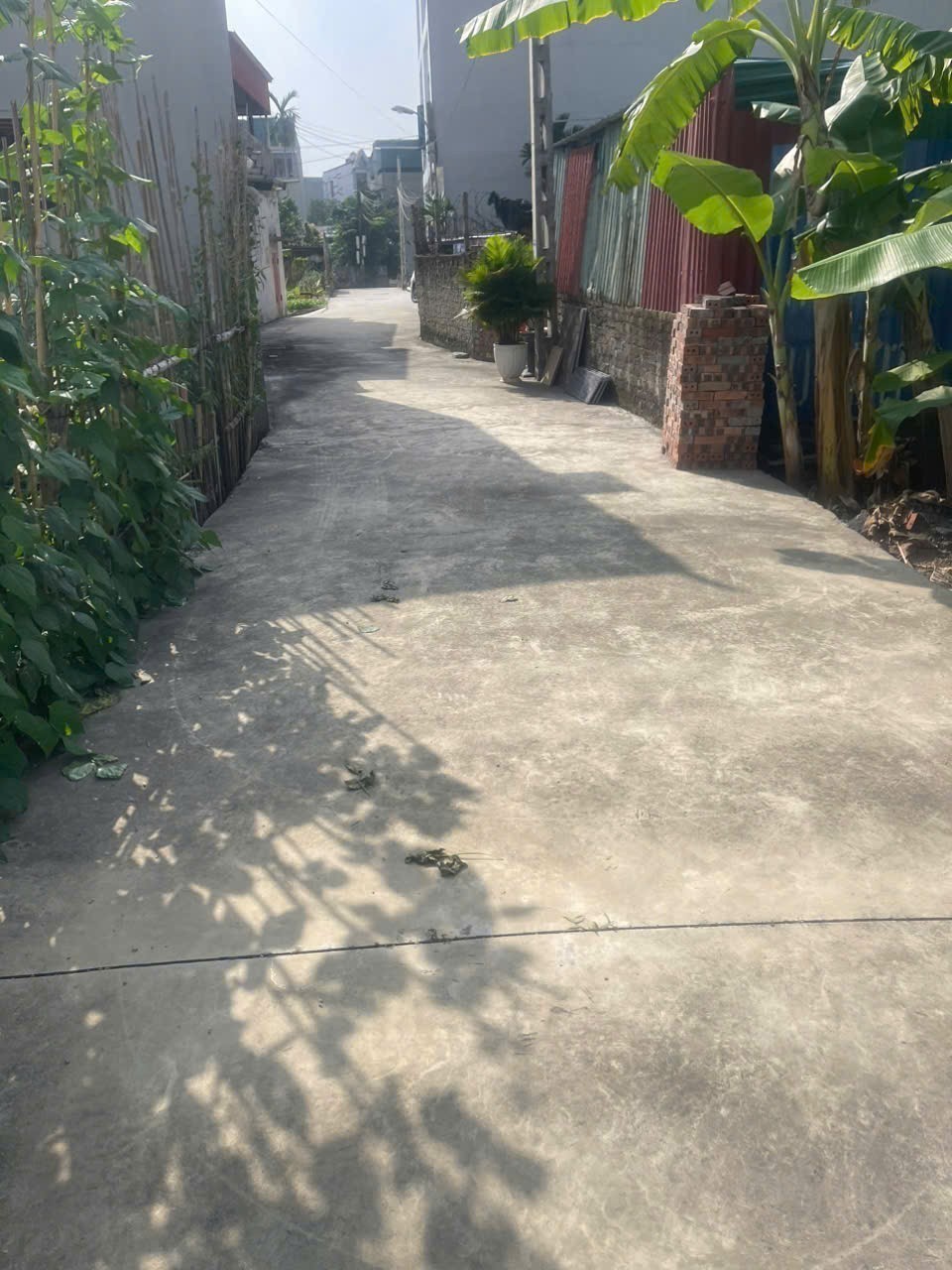 Bán đất ngõ Lý Anh Tông – Hải Tân, giáp EcoPark, ô tô vào tận đất, giá 850tr