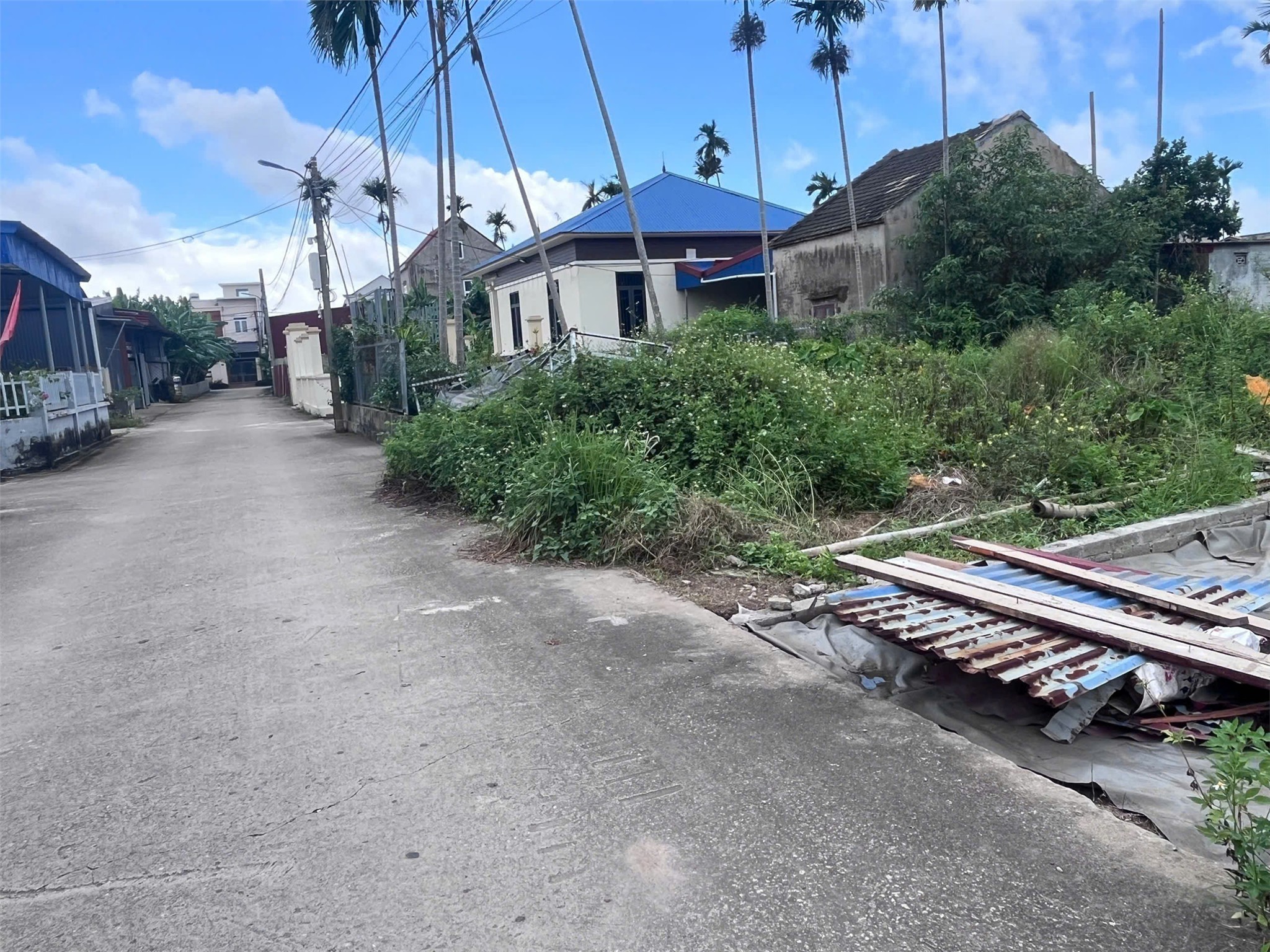 ĐẤT TDP 12 HÒA NGHĨA DƯƠNG KINH – DIỆN TÍCH LỚN HIẾM – PHÙ HỢP ĐẦU TƯ  ZALO 0567 222 555 2