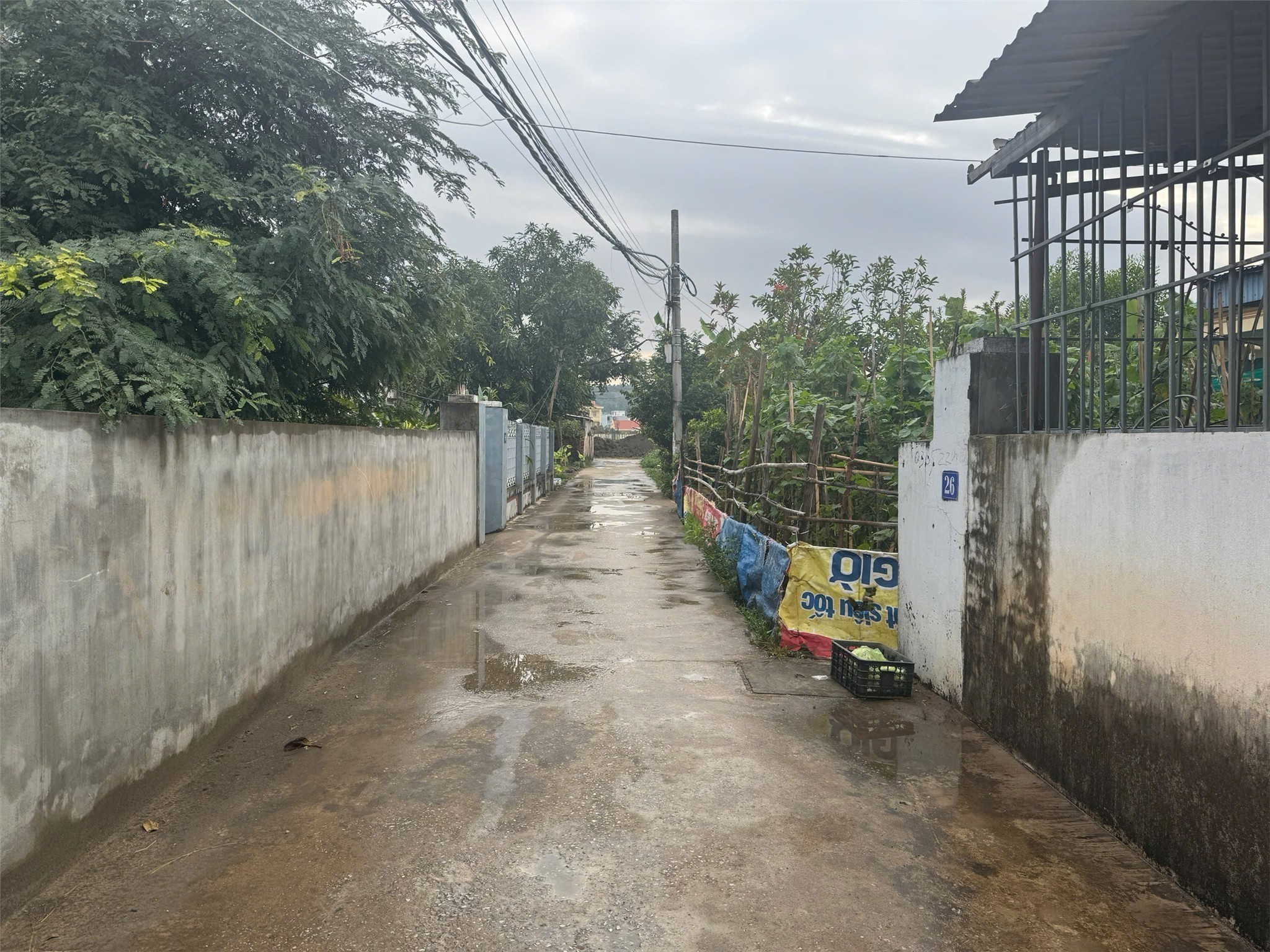 Giá 3,x tỷ – Lô 121m² Cộng Lực Ngọc Xuyên, ngõ thông rộng hiếm, sẵn nhà cấp 4  ZALO 0567 222 555 2