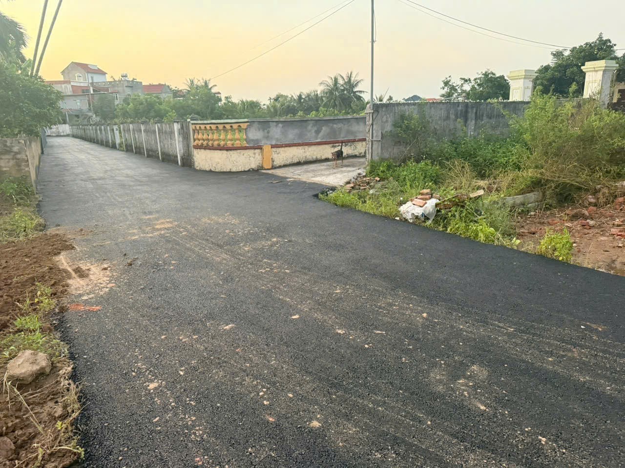 Giá 1 tỷ 1xx  1 lô tuyến 2 đường 361 Tân Phong – Kiến Hải  Ngõ ô tô  Hàng hiếm khu dân cư  ZALO