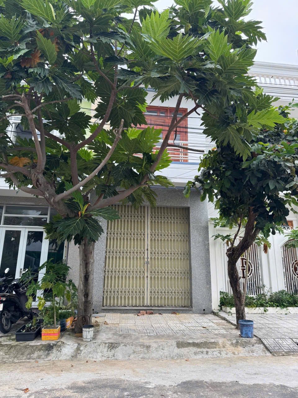 BÁN NHÀ 3 TẦNG MẶT TIỀN LÊ VĂN MIẾN, VĨNH HÒA, NHA TRANG – GIÁ 6 TỶ 2