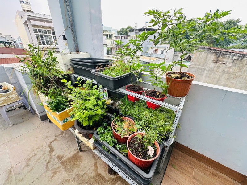 Bán nhà 3 tầng, DT 75m2, Số 7, Linh Trung, Thủ Đức, TP HCM giá 7,89  tỷ, sổ hồng. Liên hệ: 5