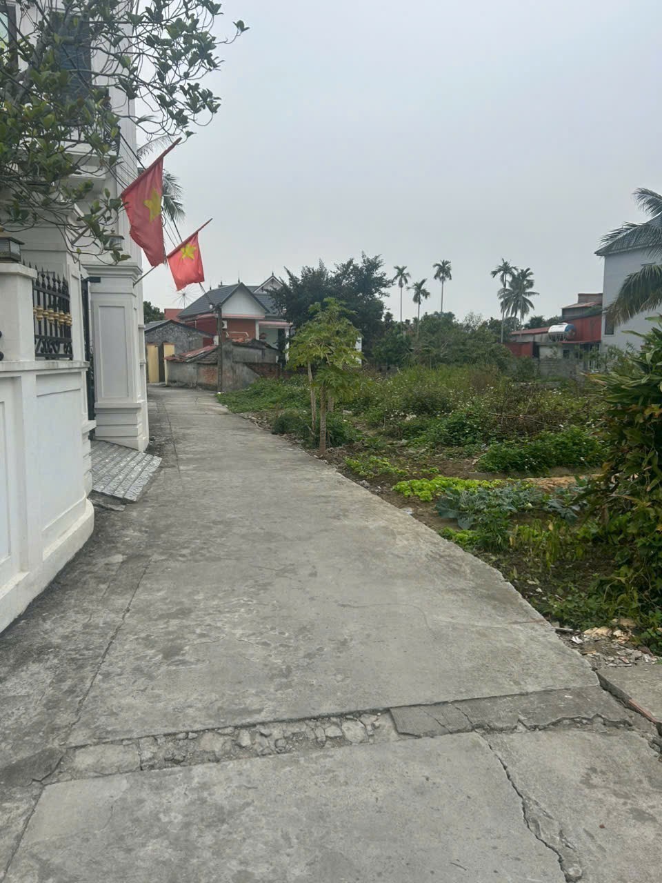 LÔ ĐẤT XUÂN CHIẾNG – NGŨ PHÚC – Ô TÔ TẬN ĐẤT – GIÁ 8XX TRIỆU  ZALO 0567 222 555 2