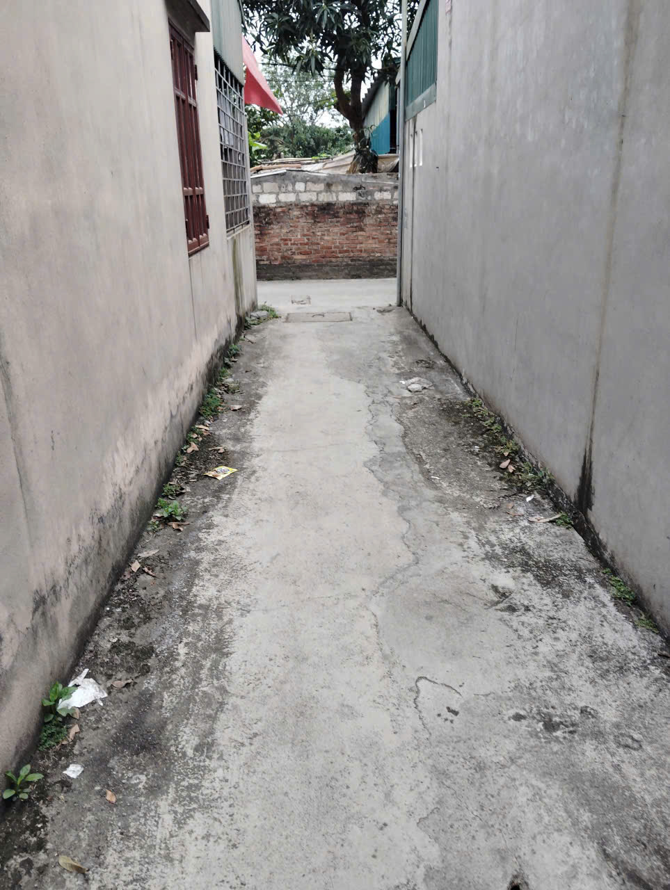 Bán đất khu 6 Việt Hòa – gần KĐT, giá 9xx triệu 3