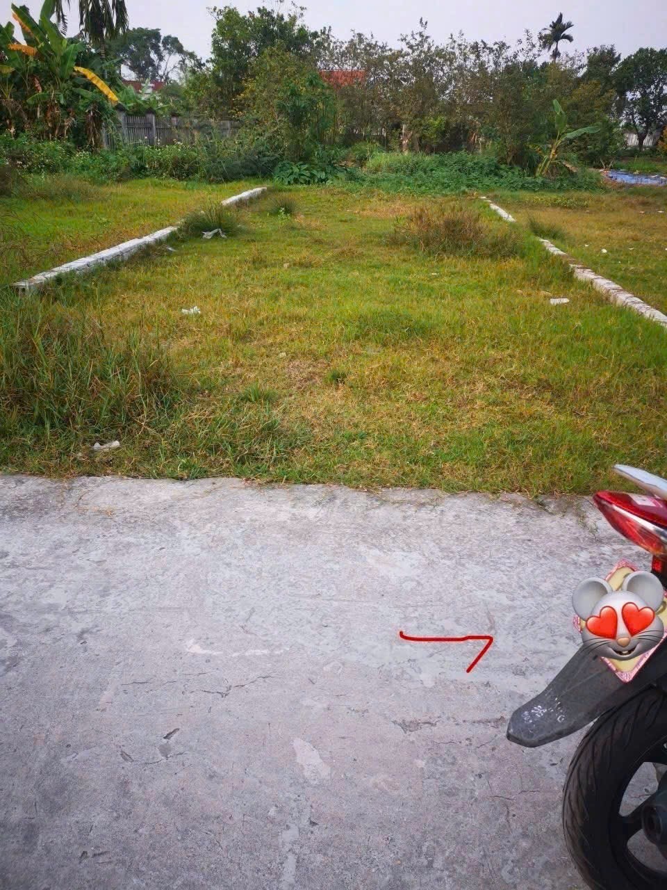 Bán đất Quyết Tiến 2 Hợp Đức Đồ Sơn giá đầu tư hiếm dưới 1 tỷ  ZALO 0567 222 555 3