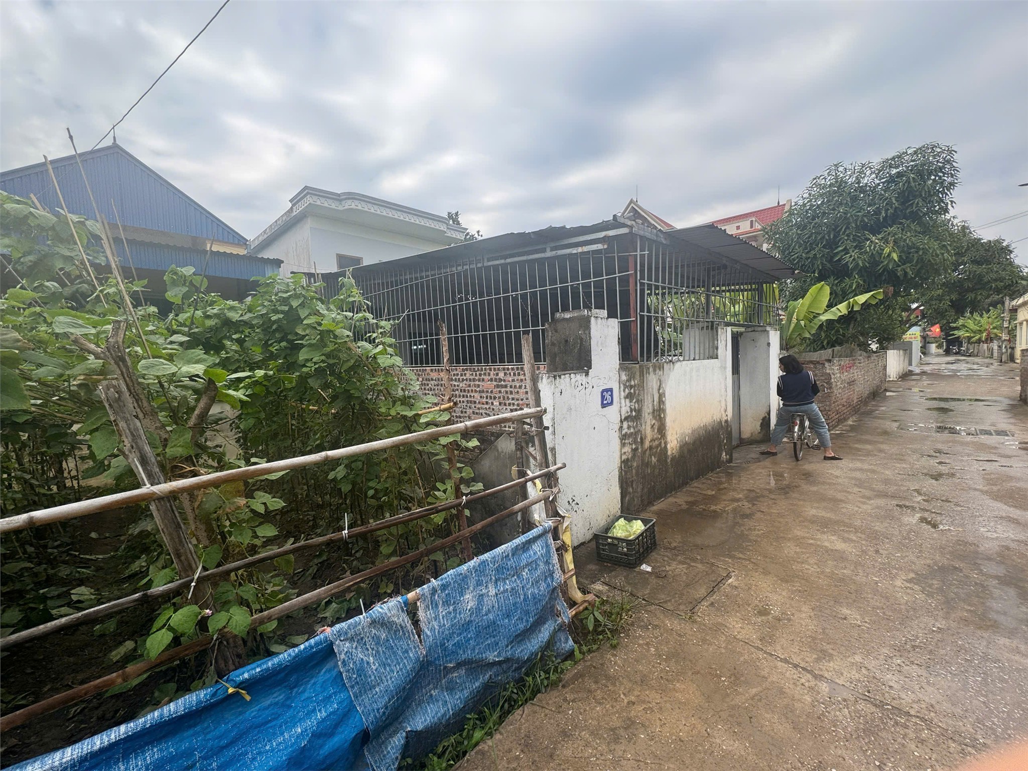 Giá 3,x tỷ – Lô 121m² Cộng Lực Ngọc Xuyên, ngõ thông rộng hiếm, sẵn nhà cấp 4  ZALO 0567 222 555 4