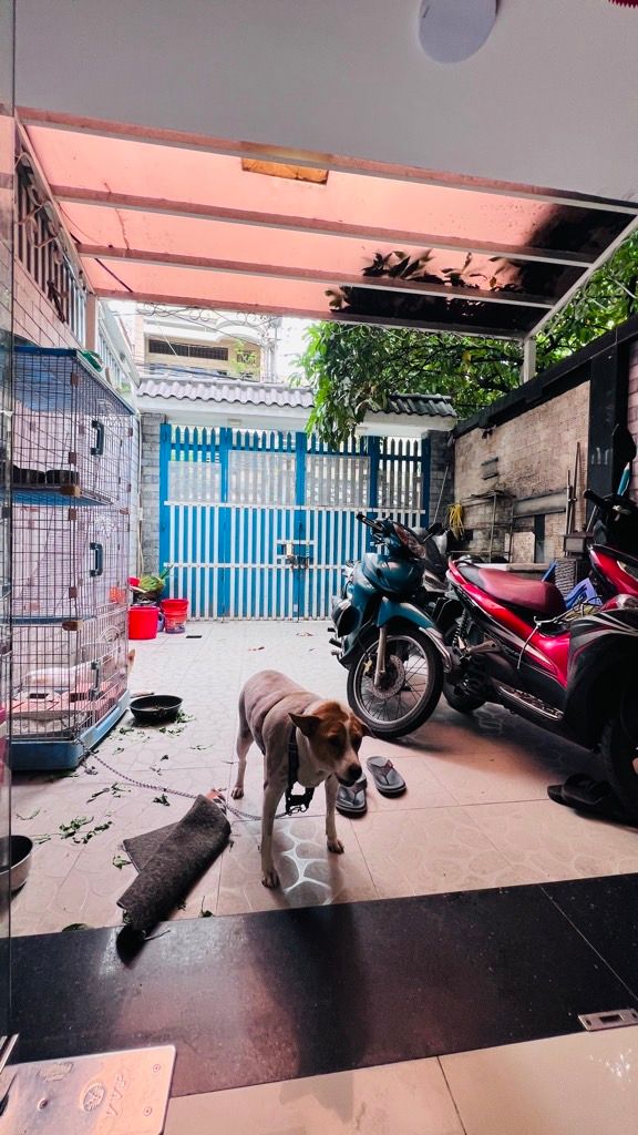 Mặt tiền xe hơi Kinh Doanh ,Nguyễn Thị Tần 7x18m ngay Chợ Quận 8 nhỉnh 11 tỷ, Gọi 0931172218 2