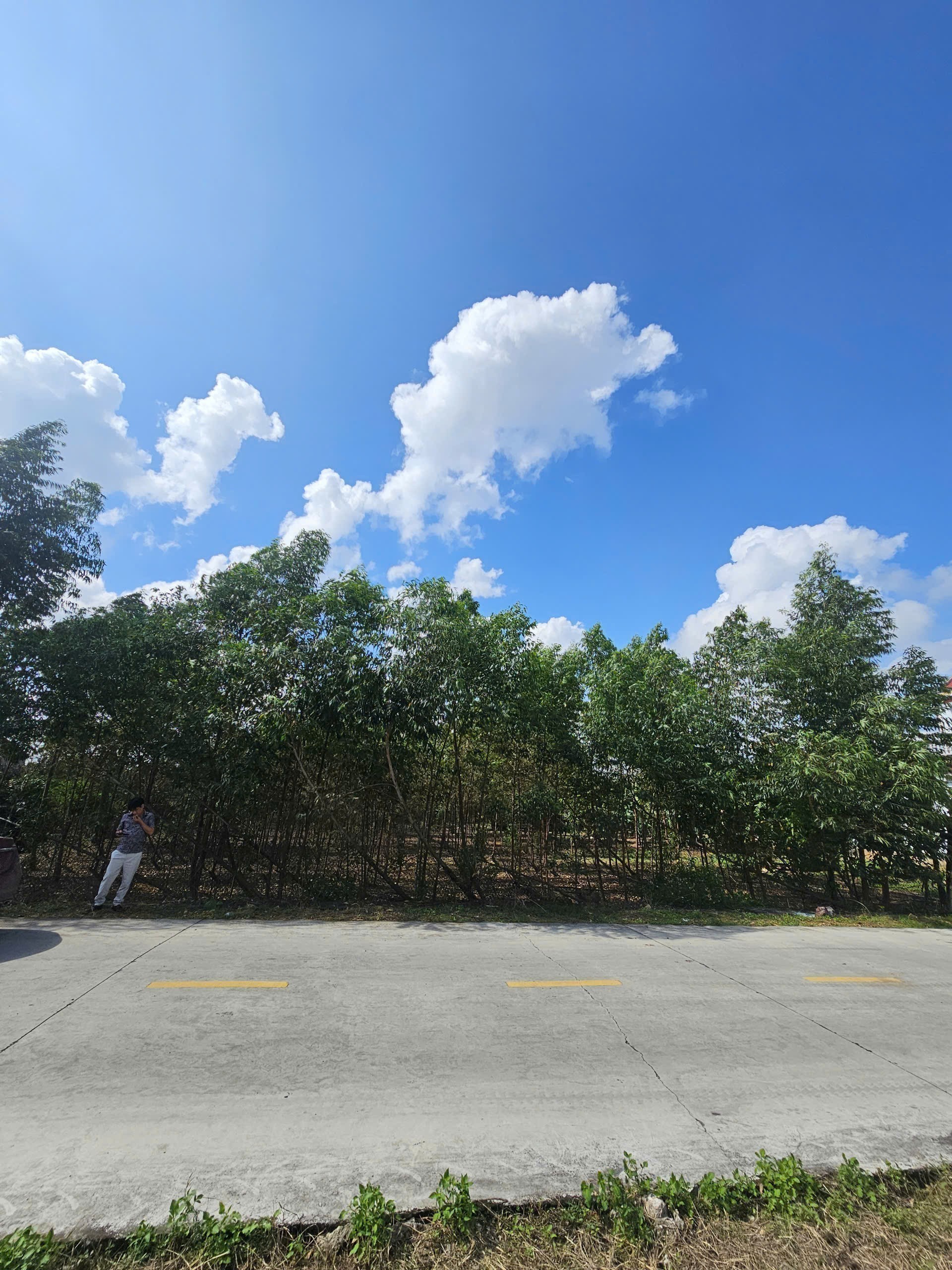 Cần bán Đất Xã Hoàng Tiến, Chí Linh, Diện tích 1500m², Giá 35 Triệu/m²