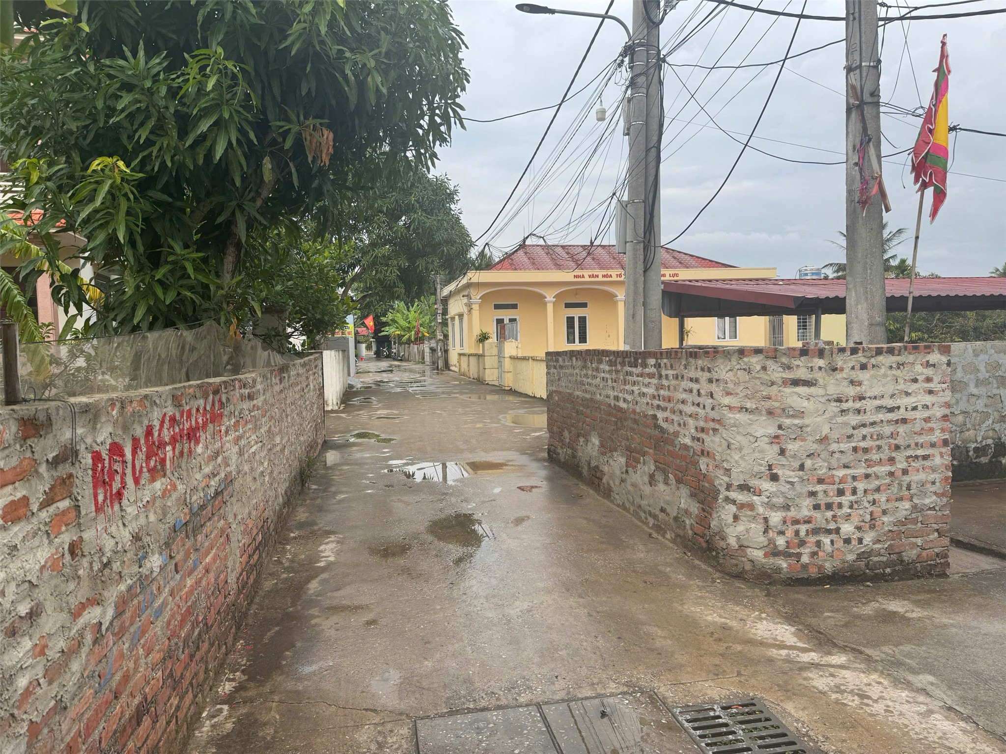 Giá 3,x tỷ – Lô 121m² Cộng Lực Ngọc Xuyên, ngõ thông rộng hiếm, sẵn nhà cấp 4  ZALO 0567 222 555 5