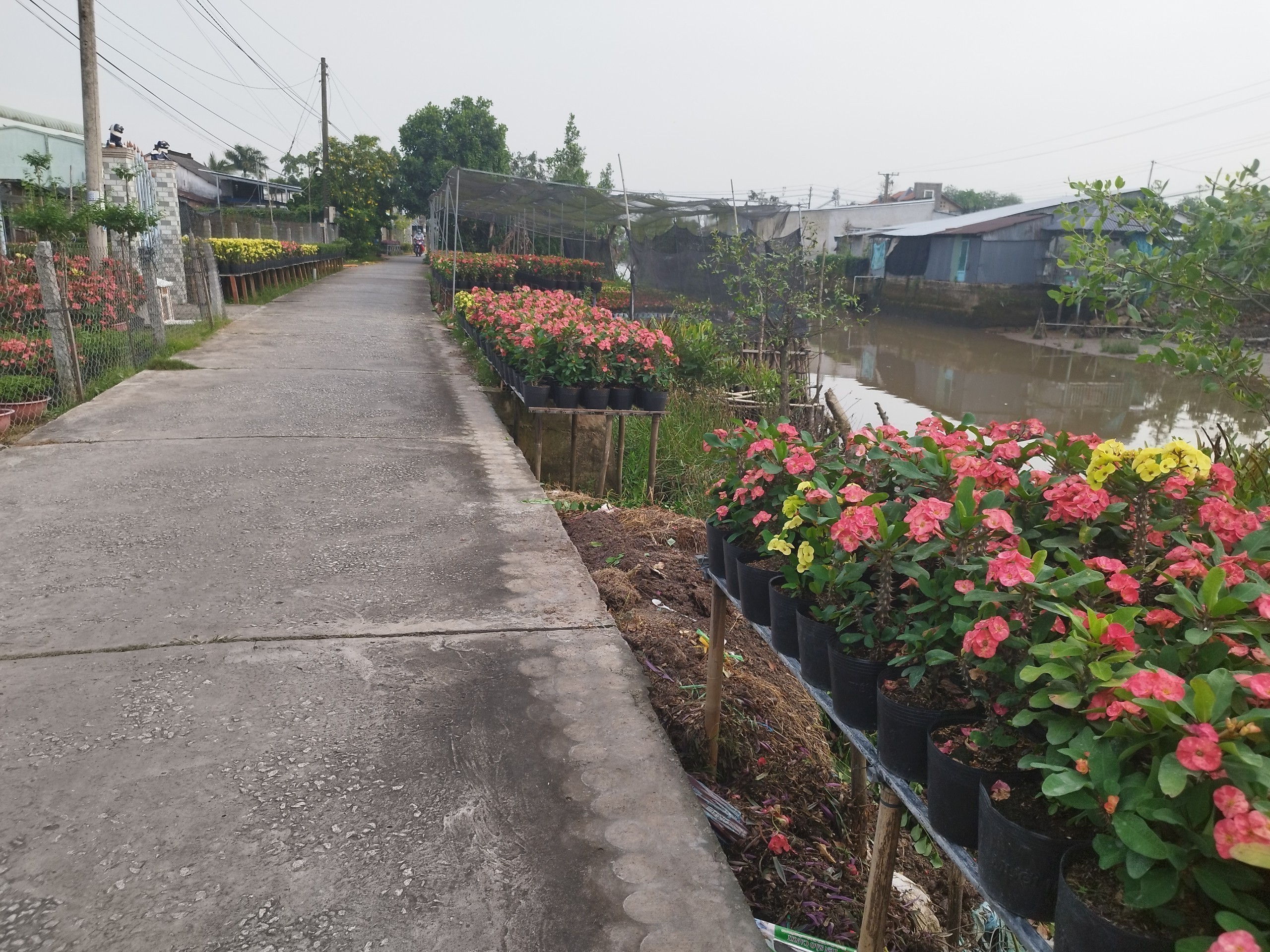 Bán Đất Mặt Tiền Đường Phạm Hồng Thái, Sa Đéc, 308m2, Sổ Hồng 3