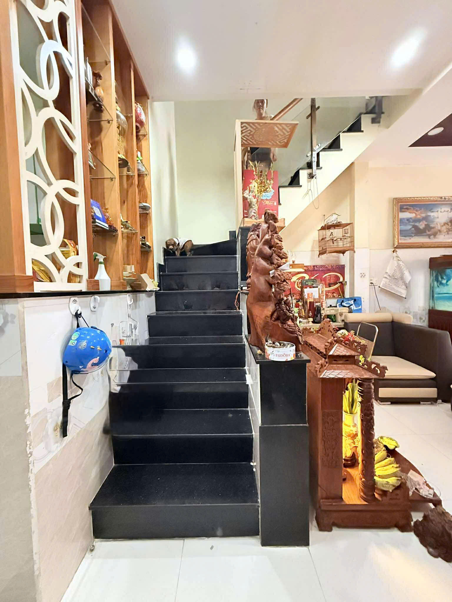 TRẦN VĂN QUANG HẺM 4M - 47M2 - 2 TẦNG BTCT SHR HOÀN CÔNG ĐỦ - CHỈ 5.3 TỶ 5