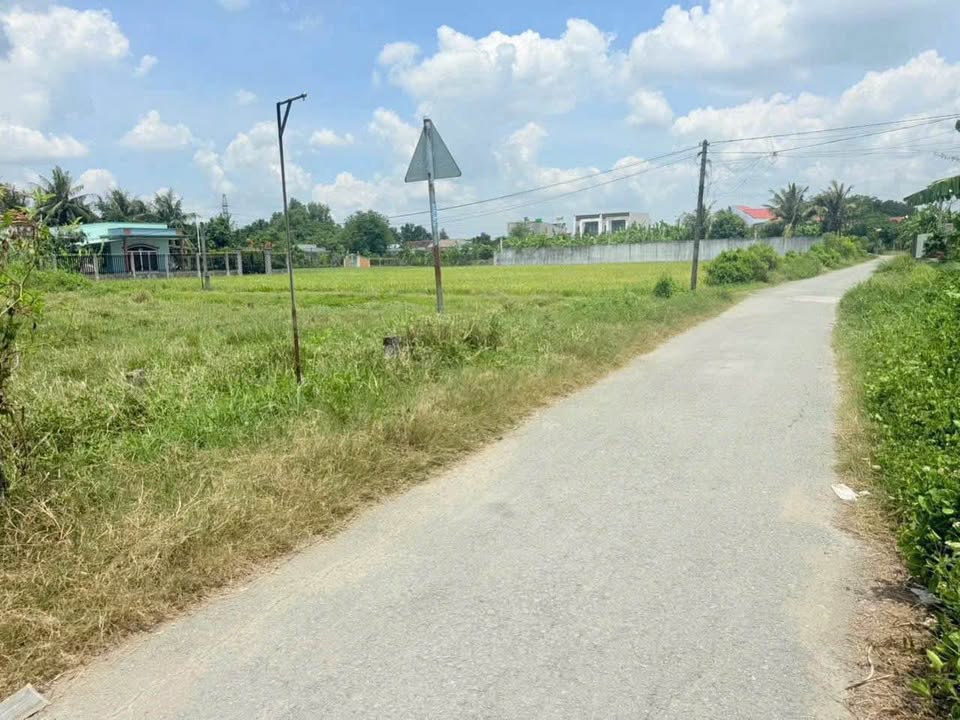 Bán đất thổ cư đường nhựa xã Mỹ Yên, Bến Lức dt 400m2 giá 5,2 tỷ 5