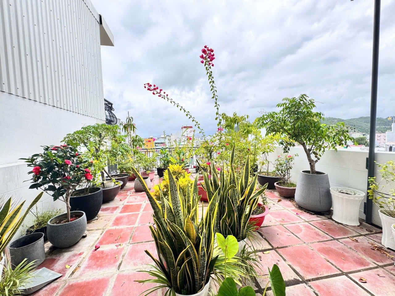 BÁN NHÀ 6 TẦNG MẶT TIỀN PHẠM NGỌC THẠCH, VĨNH HẢI, NHA TRANG – GIÁ 20 TỶ 3