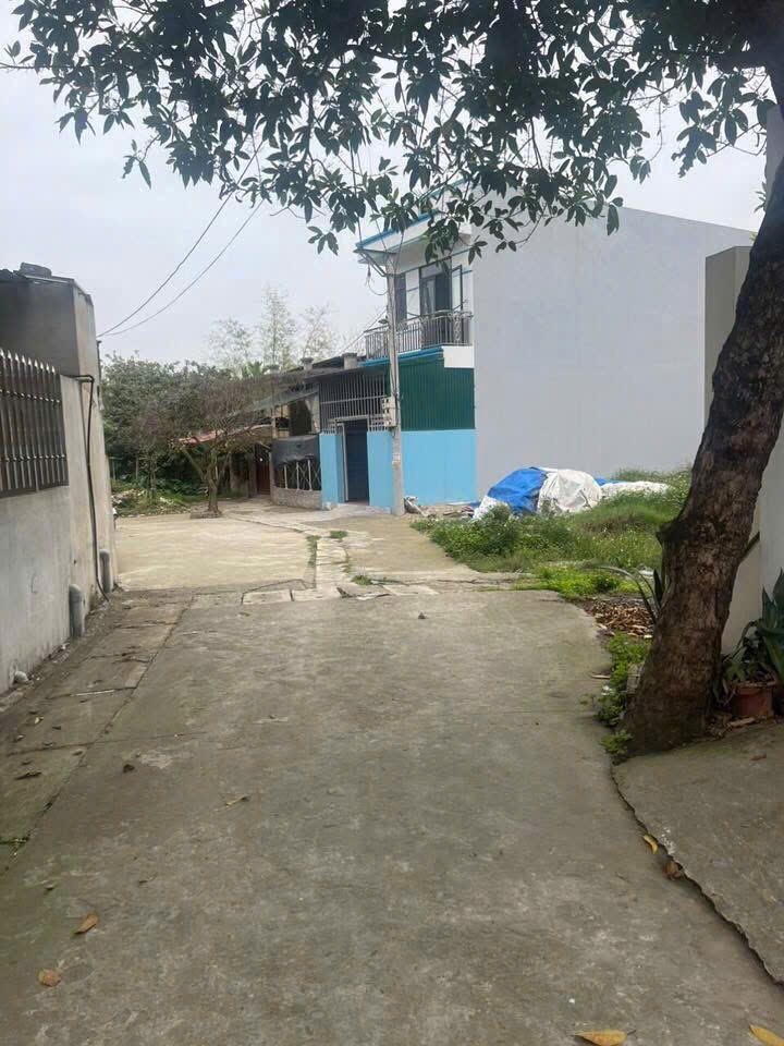 Chủ gửi bán tại 62m tại Minh hải-Văn lâm, ô tô vào, 2 mặt thoáng, giá tốt: 0835459289