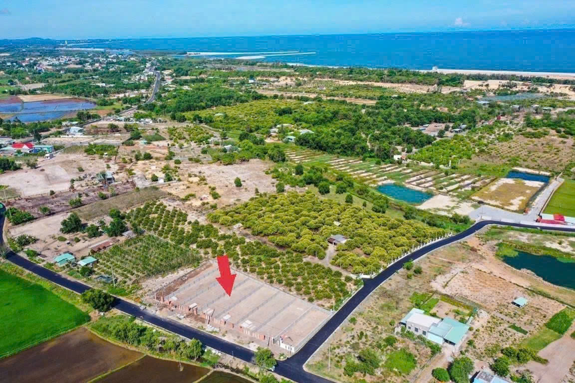 Cần bán Đất đường Võ Văn Kiệt, Xã Lộc An, Diện tích 420m², Giá 1.3 Tỷ 2