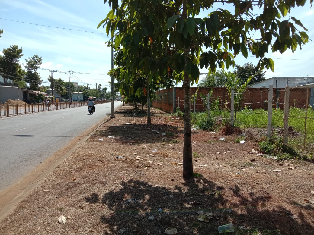 Cho thuê mặt tiền kinh doanh Hồ Thị Hương, sát nhà hàng Sunshine, thuận tiện kinh doanh đa ngành 2