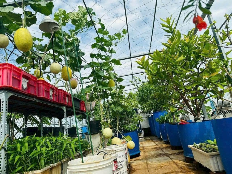 Bán nhà 3 tầng, đường số 38, Hiệp Bình Chánh, Thủ Đức, TP HCM - diện tích 59m2, giá 6,45 tỷ. Sổ 5