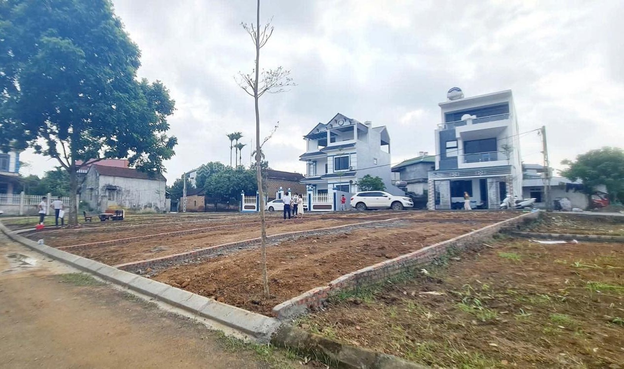 Bán đất thổ cư An Lão sát KCN Tràng Duệ- 70m2 chỉ 300 triệu, cơ hội hiếm còn sót lại 2