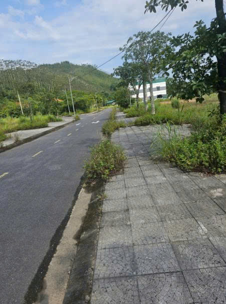 Cần bán Đất Thị trấn Yên Lập, Yên Lập, Diện tích 198m², Giá 39 Triệu/m²