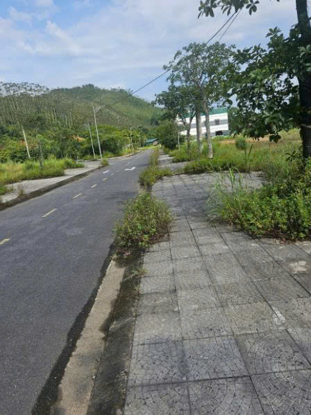 Cần bán Đất Thị trấn Yên Lập, Yên Lập, Diện tích 210m², Giá 40 Triệu/m² 2