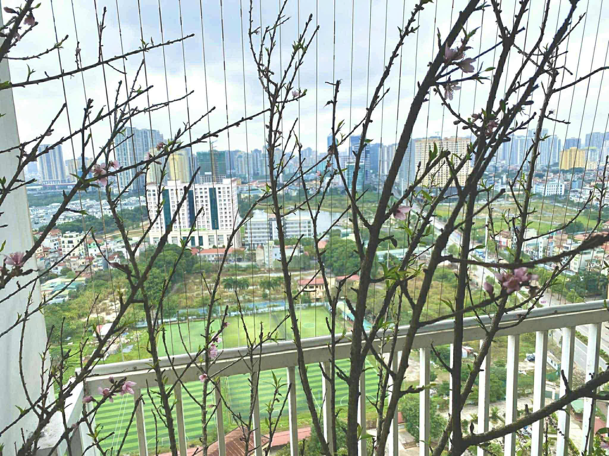 Cần bán Căn hộ chung cư dự án Ecolife Capitol, Diện tích 74m², Giá 6.9 Tỷ 7