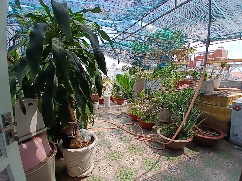 Bán nhà 3 tầng đường Trần Thị Điệu, Phường  Phước Long B, Q9, Thủ Đức, TP HCM. DT - 95m2, 3 tầng. 5