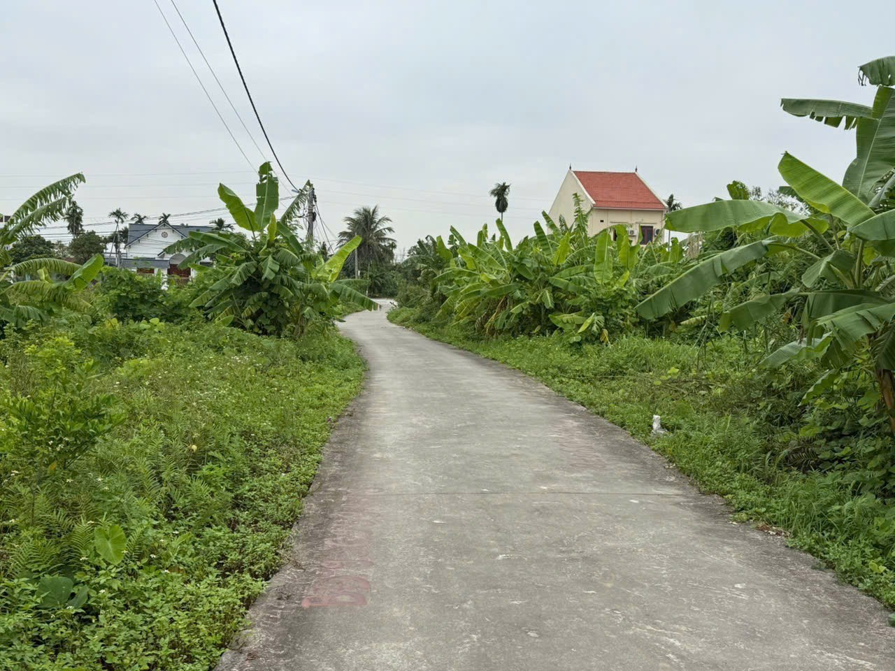 GIÁ 1X TRIỆU/M² – LÔ ĐẤT TUYẾN 2 TRUNG NGHĨA, DIỆN TÍCH LỚN, ĐƯỜNG Ô TÔ TRÁNH  ZALO 0567 222 555 3