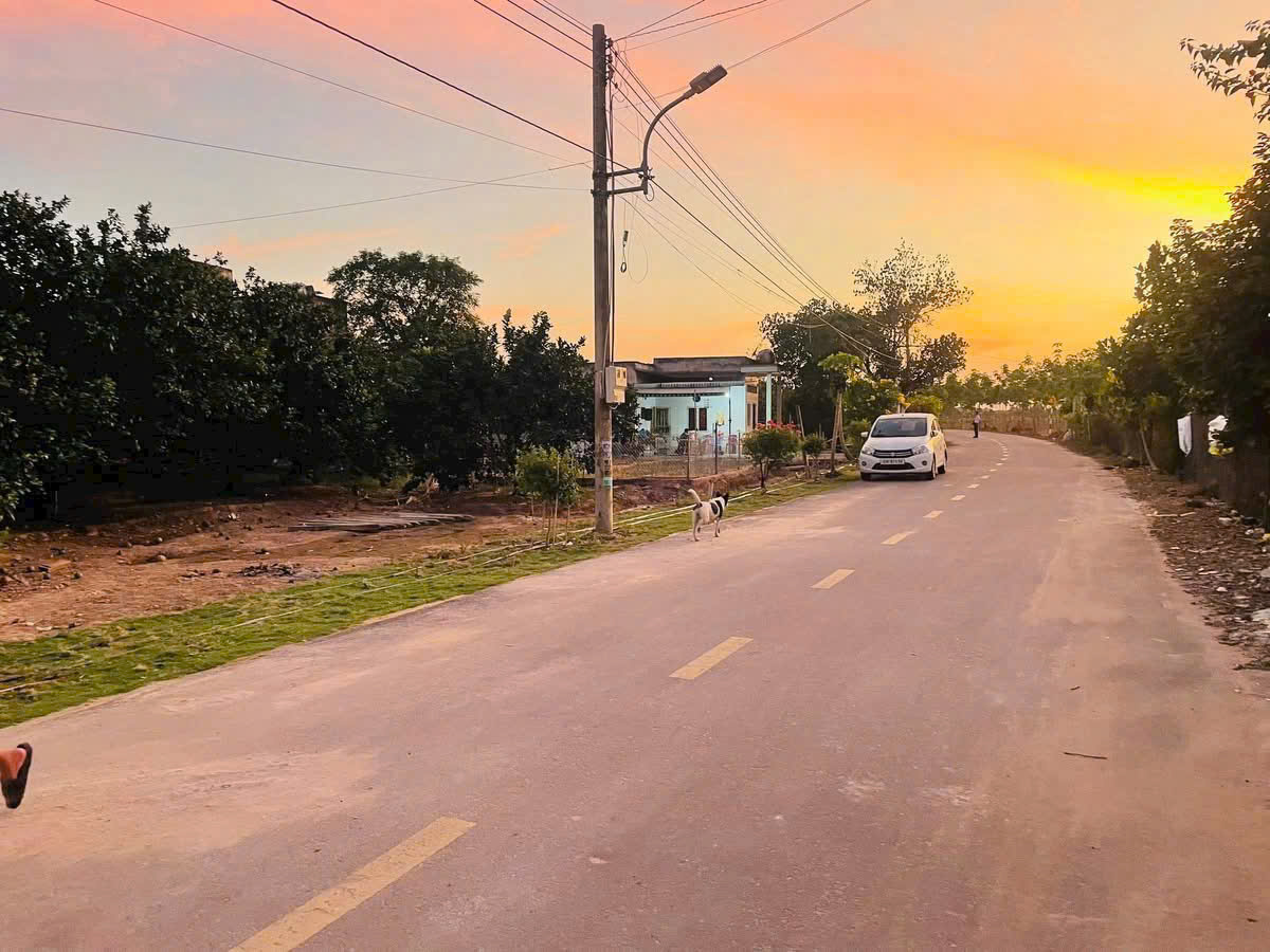 Cần bán Đất đường Tỉnh lộ 750, Xã Trừ Văn Thố, Diện tích 250m², Giá 900 Triệu