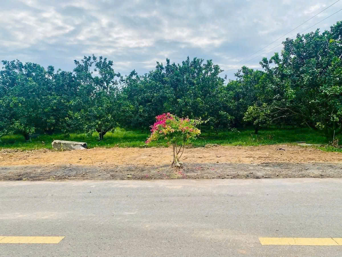 AN CƯ BÀU BÀNG – GIÁ CHỈ TỪ 9xx TRIỆU!